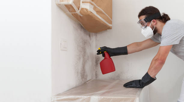 Professional Basement Mold Remediation technician working in Muskegon, MI