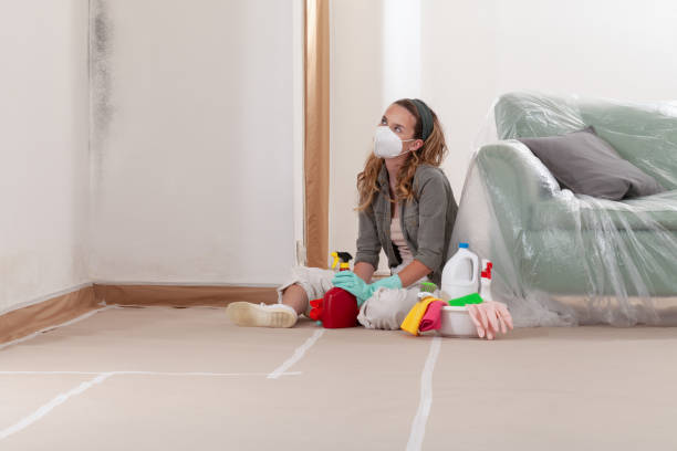 Reliable Basement Mold Remediation contractor in Muskegon, MI by WQB Mold Removal